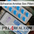 Black Ant Sex Pills new15